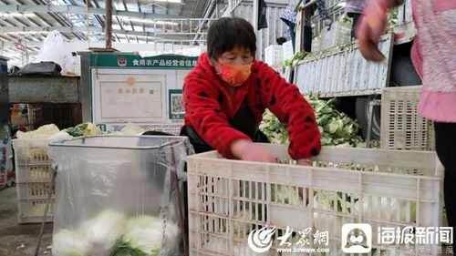 聊城 斷不了菜！記者實(shí)地探訪周公河農(nóng)貿(mào)城，日供蔬菜2000噸，新鮮蔬菜零售無憂